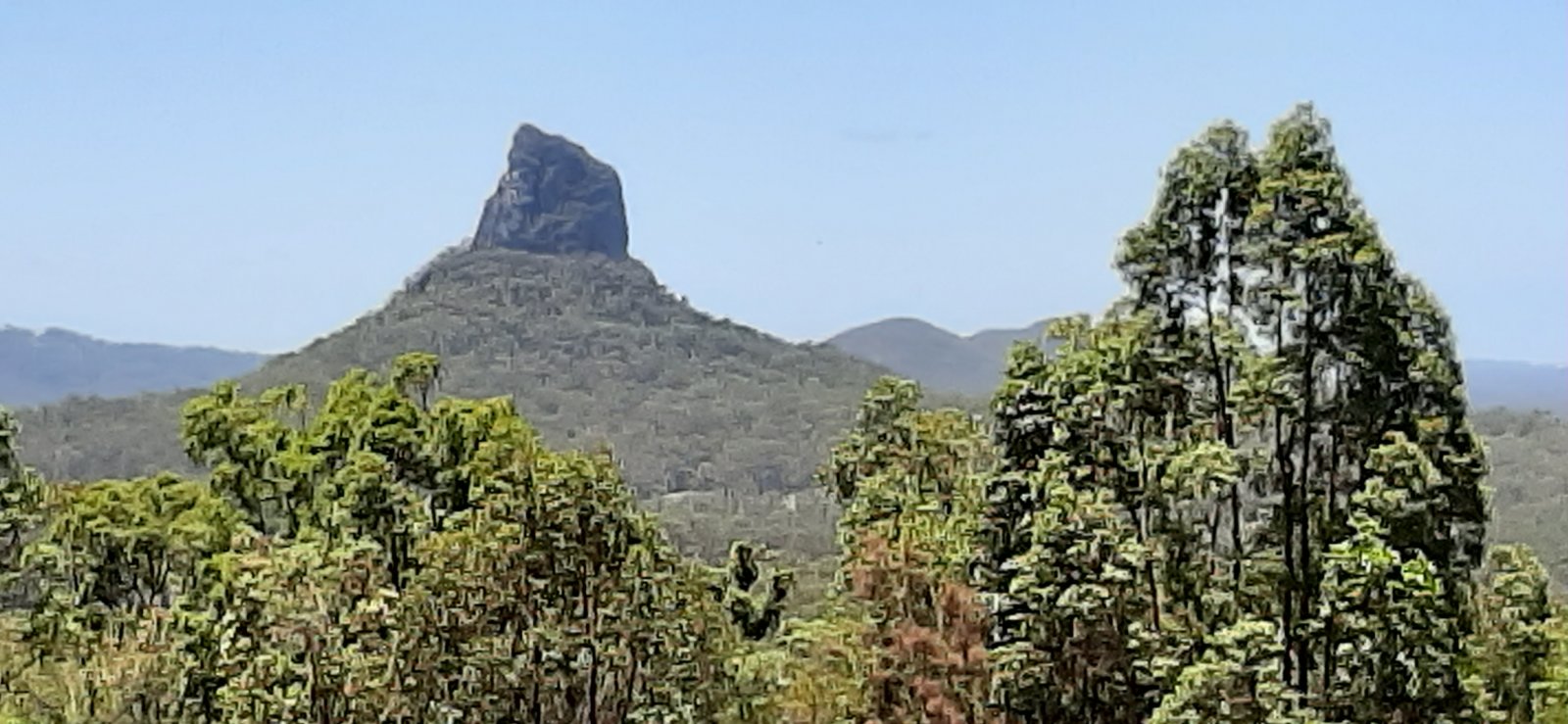20201128_114850.jpg