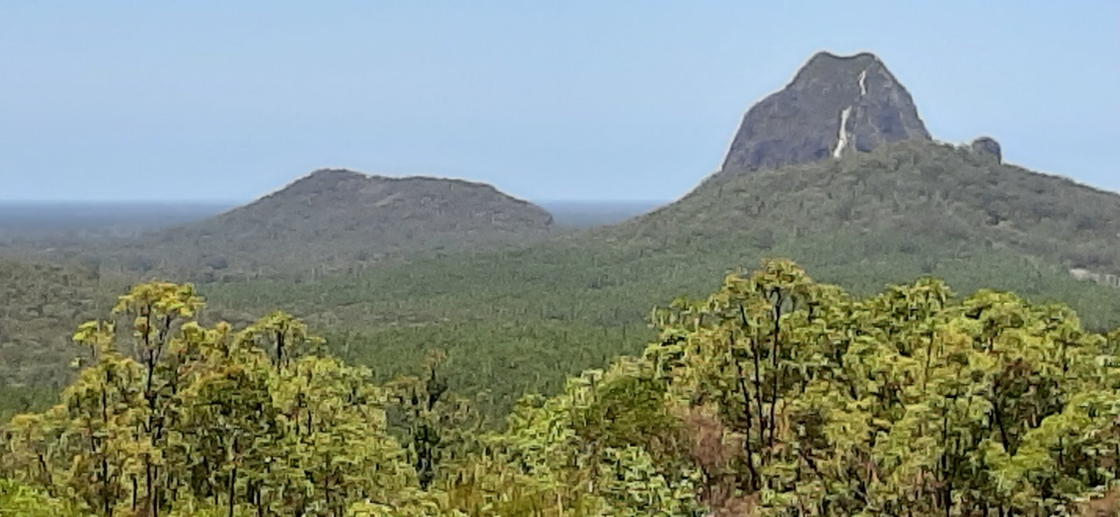 20201128_114905.jpg