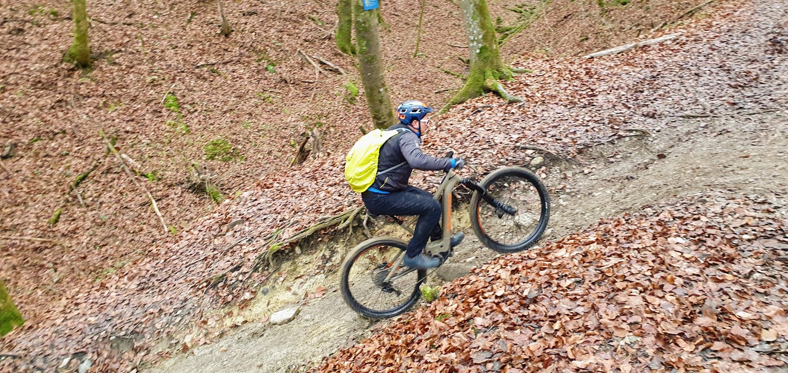 20201128_135606.jpg