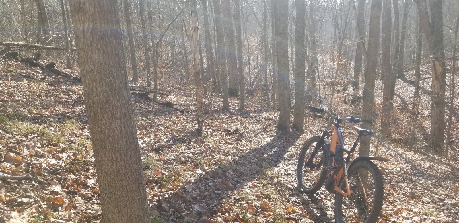 20201205_122437.jpg