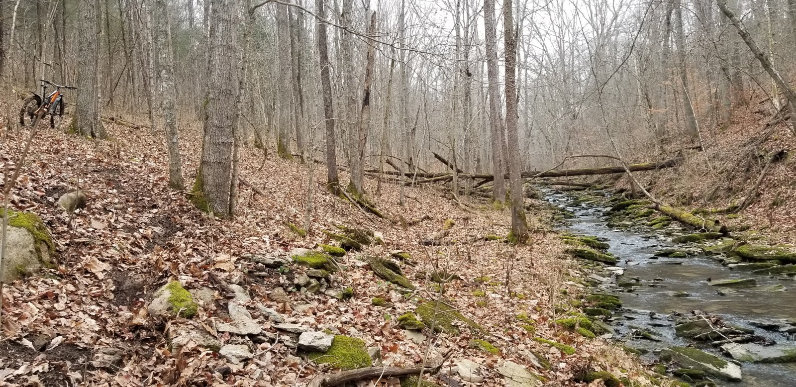 20201207_104100.jpg