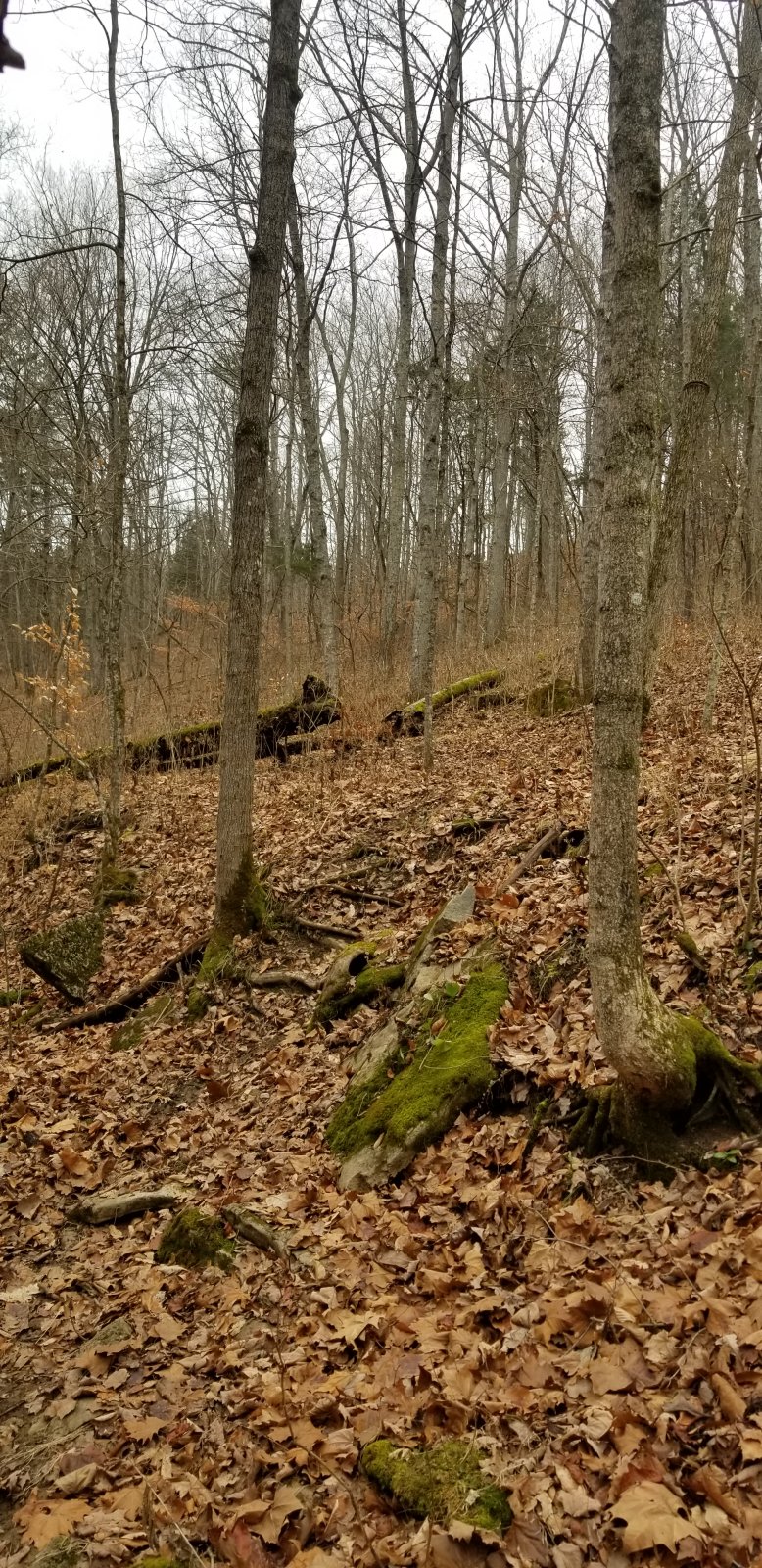 20201207_104121.jpg