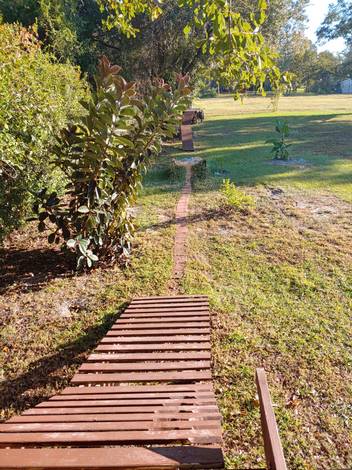 20201208_083723_HDR.jpg