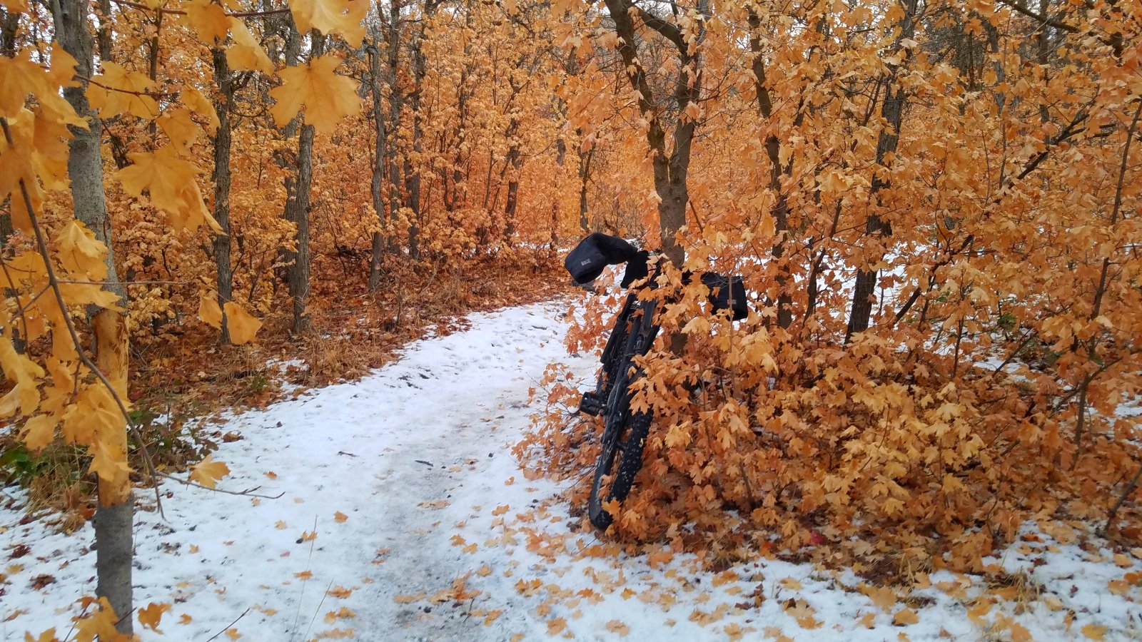 20201220_103603.jpg