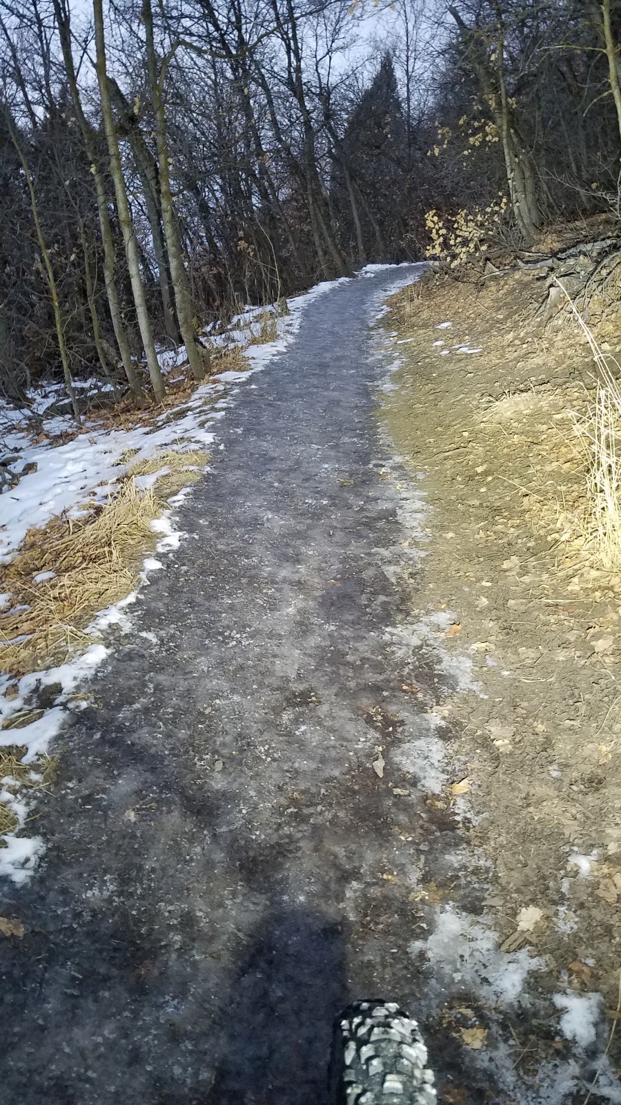 20201226_073718.jpg