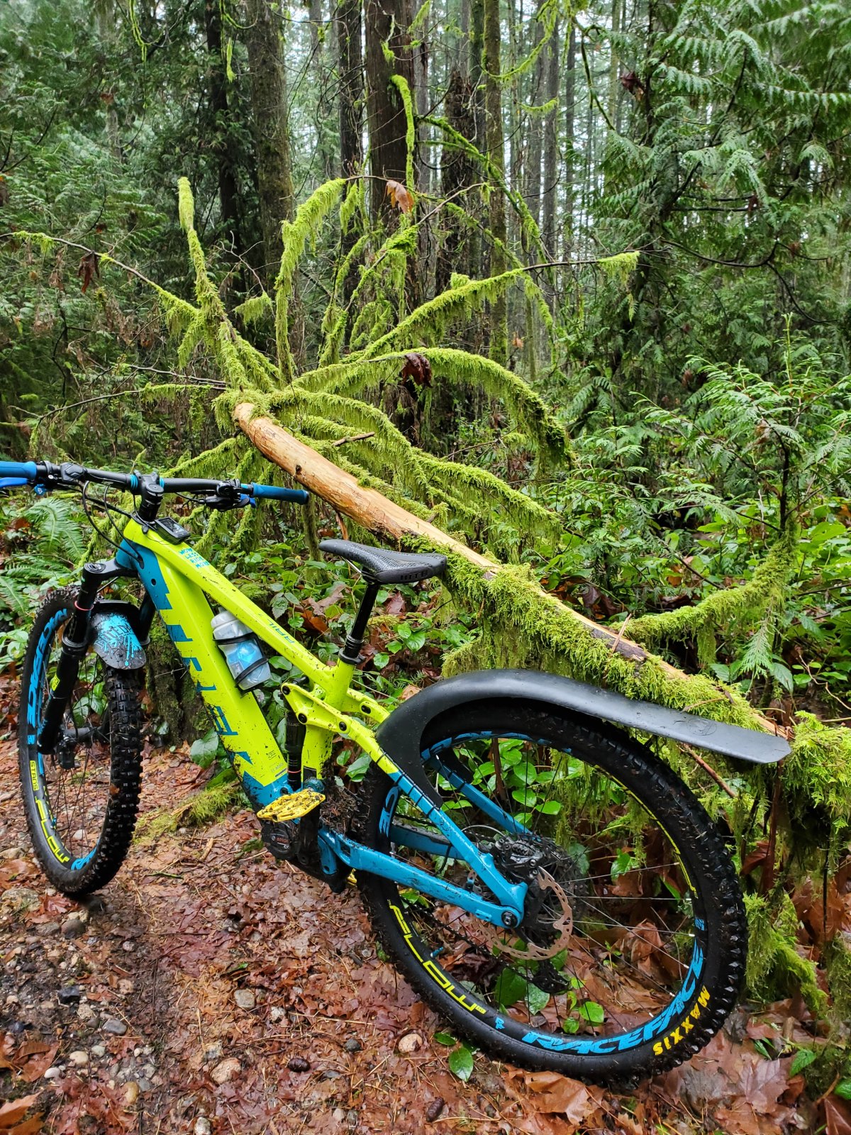 20201228_124757.jpg