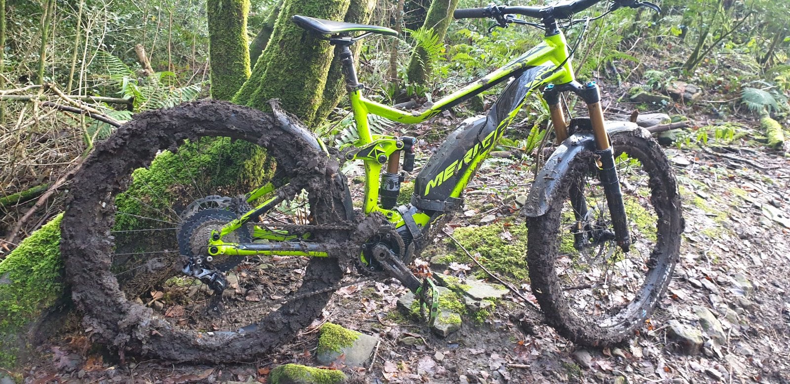 20201230_095101.jpg