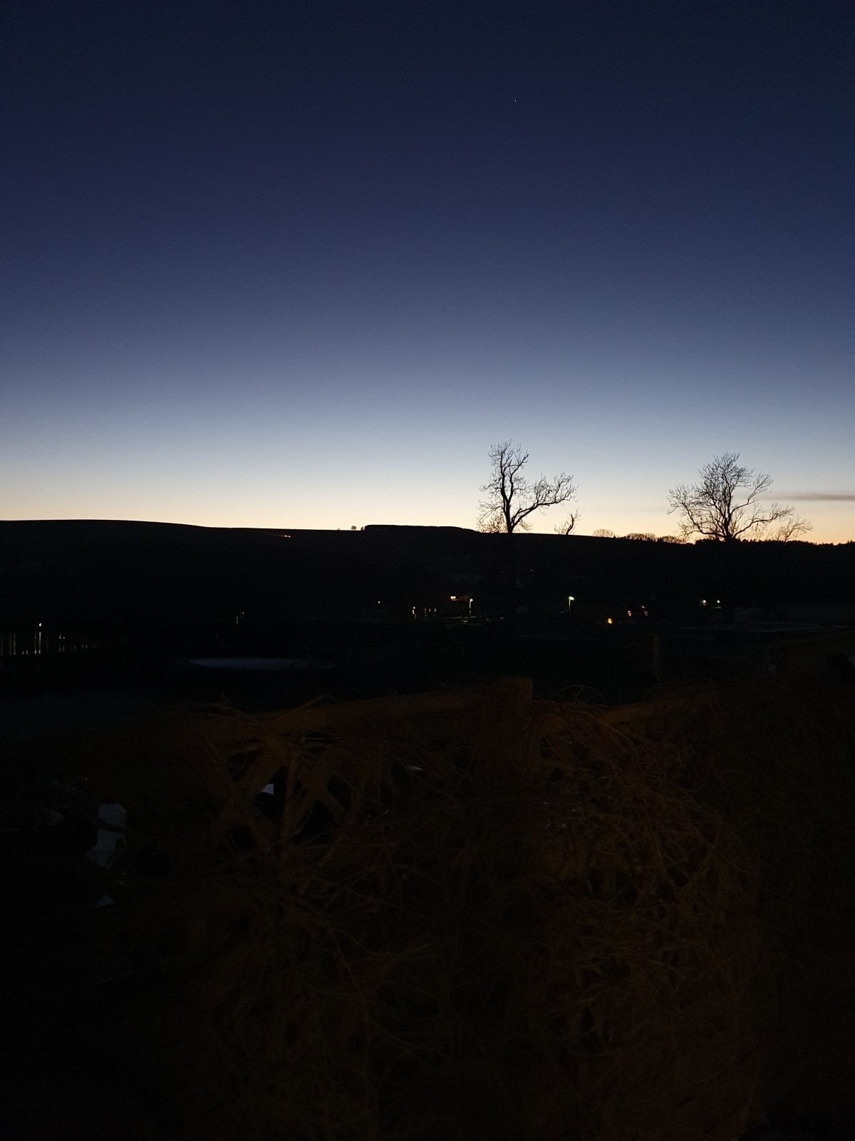 20201230_165505.jpg