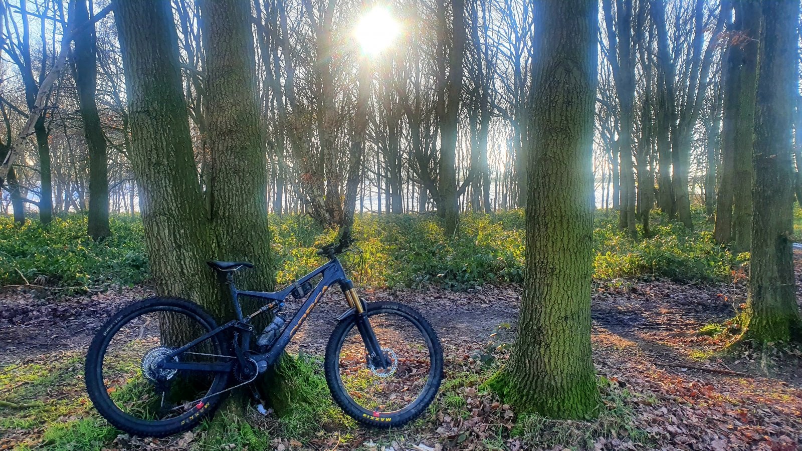 20201231_115542.jpg