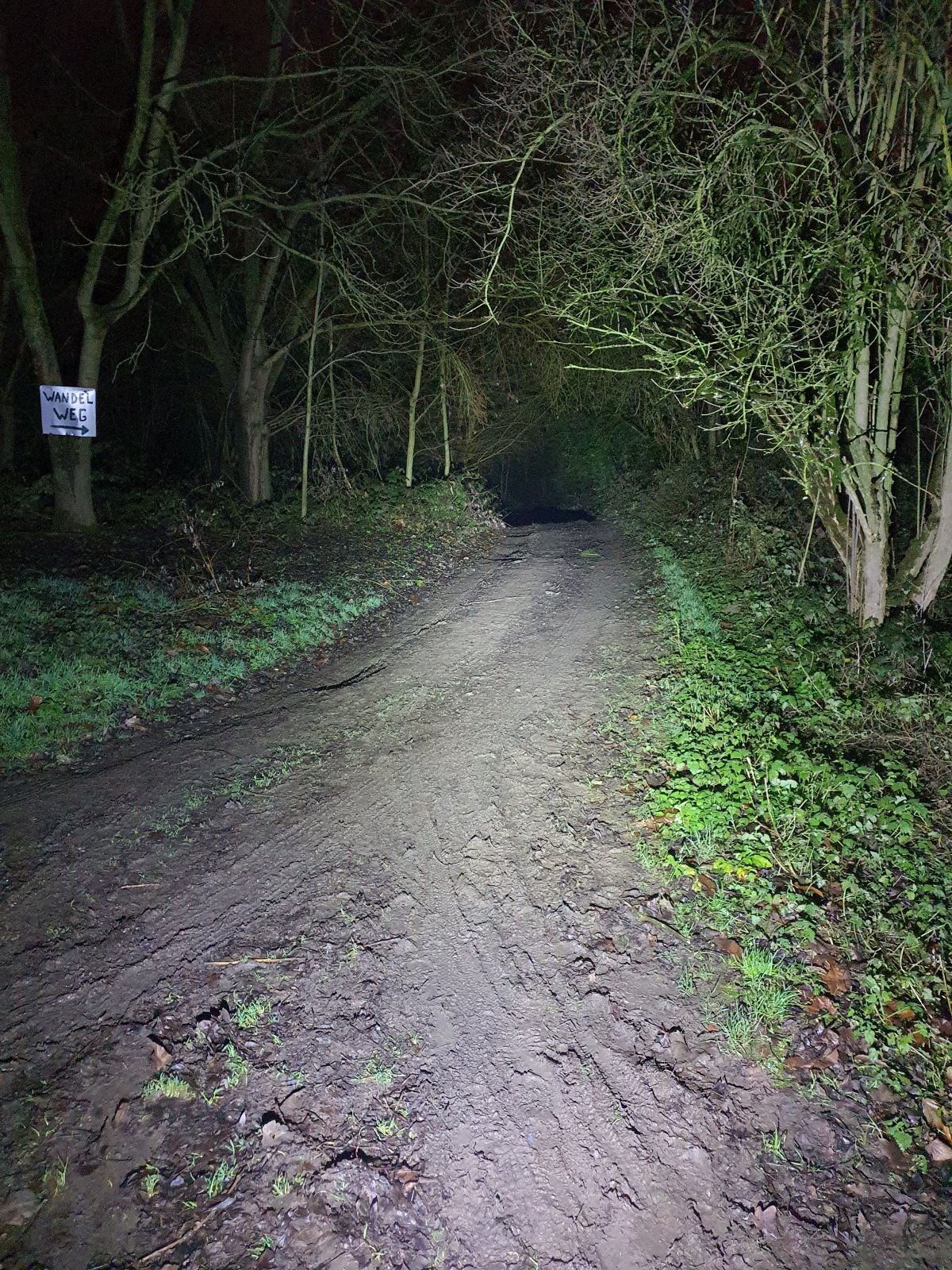 20210101_175107.jpg