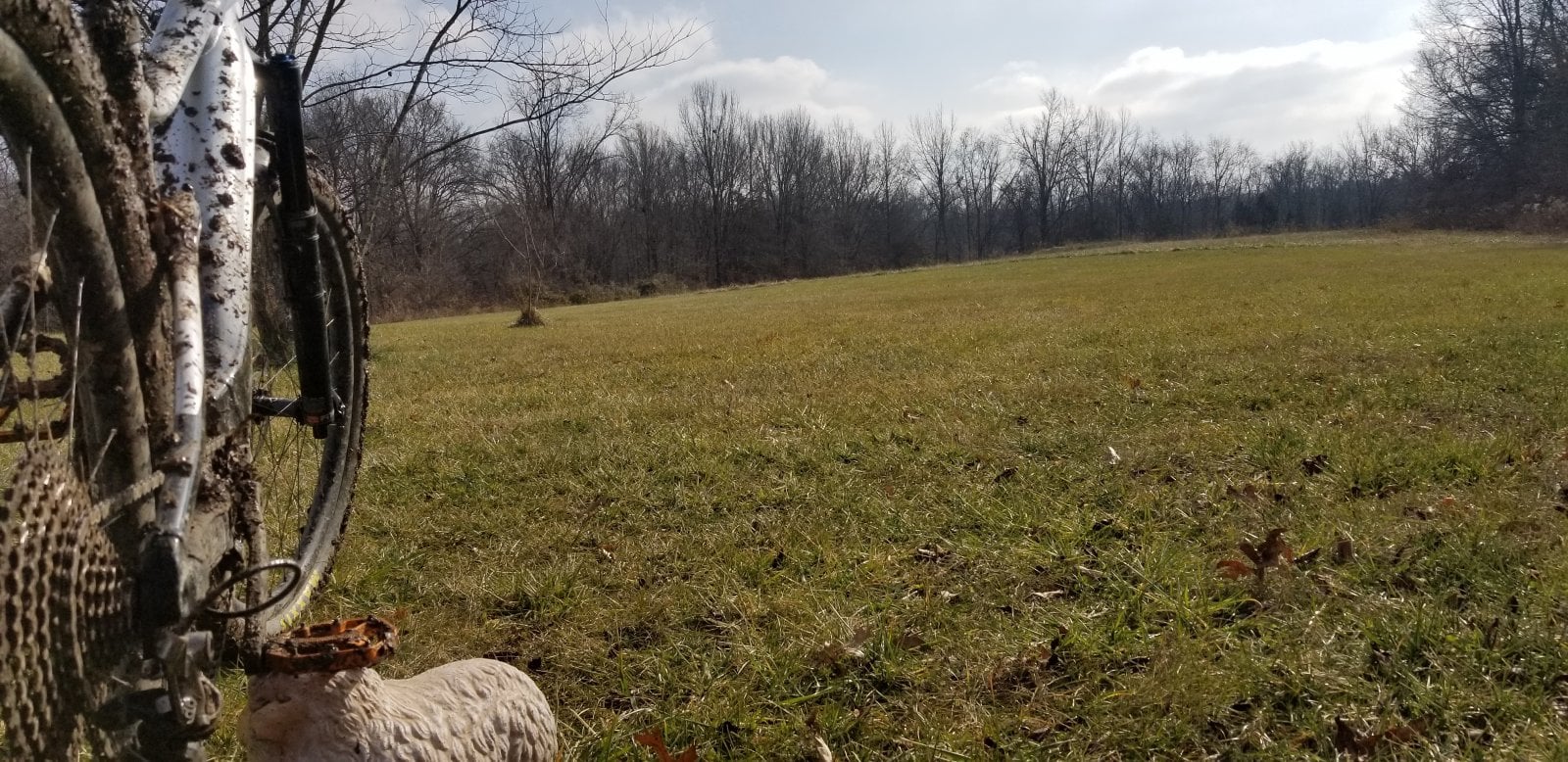 20210110_130732.jpg
