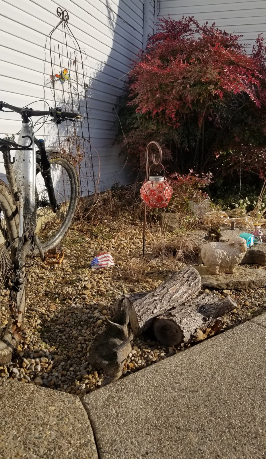 20210114_101654.jpg