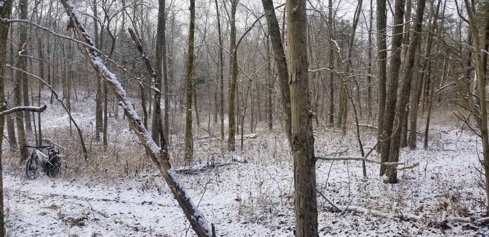 20210116_094013.jpg