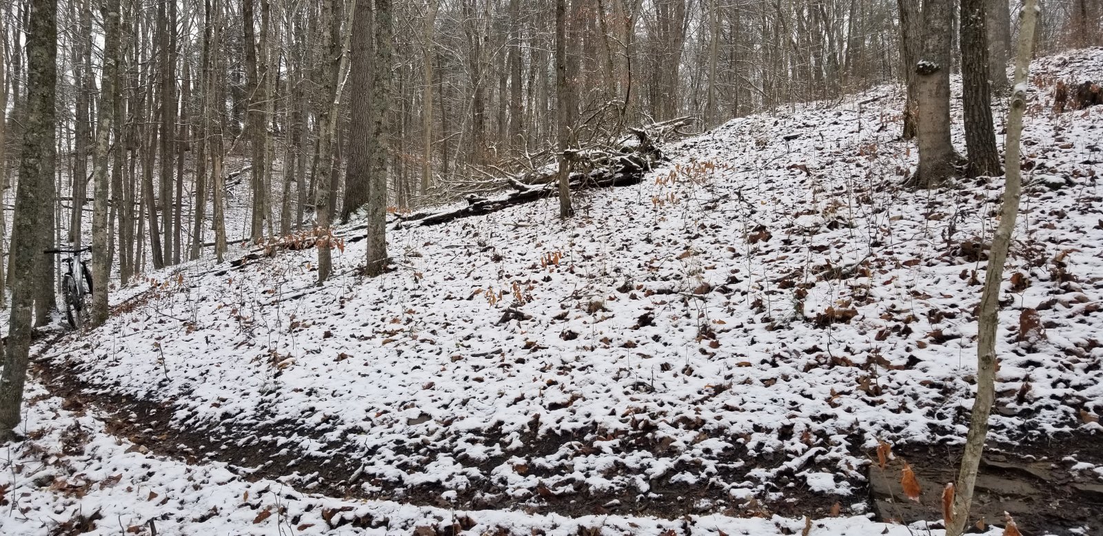 20210116_101818.jpg
