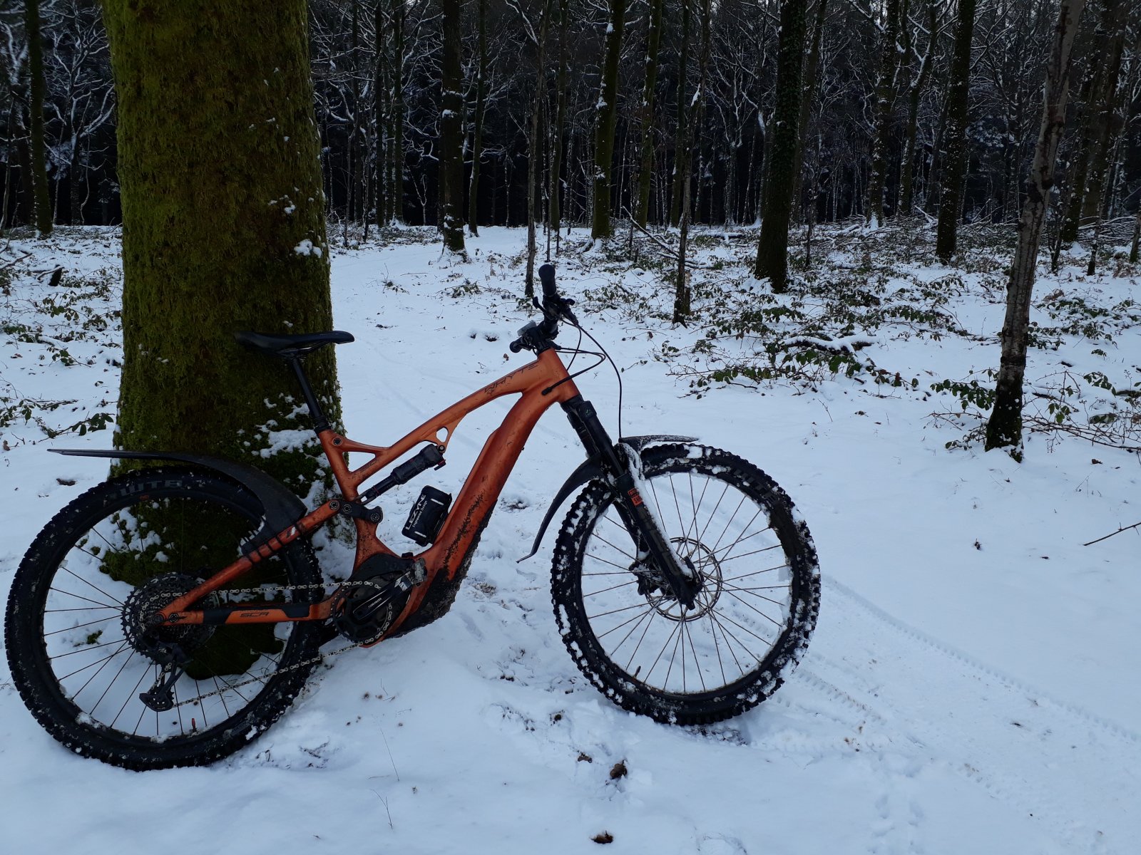 20210124_140217.jpg