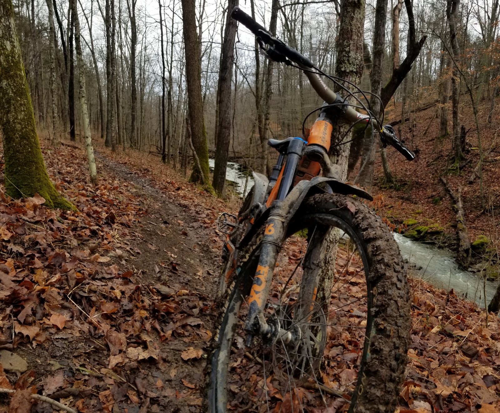 20210126_101856.jpg