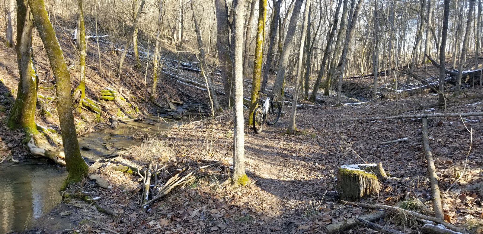 20210203_095438.jpg