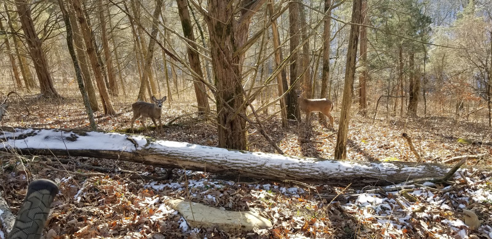 20210203_100329.jpg