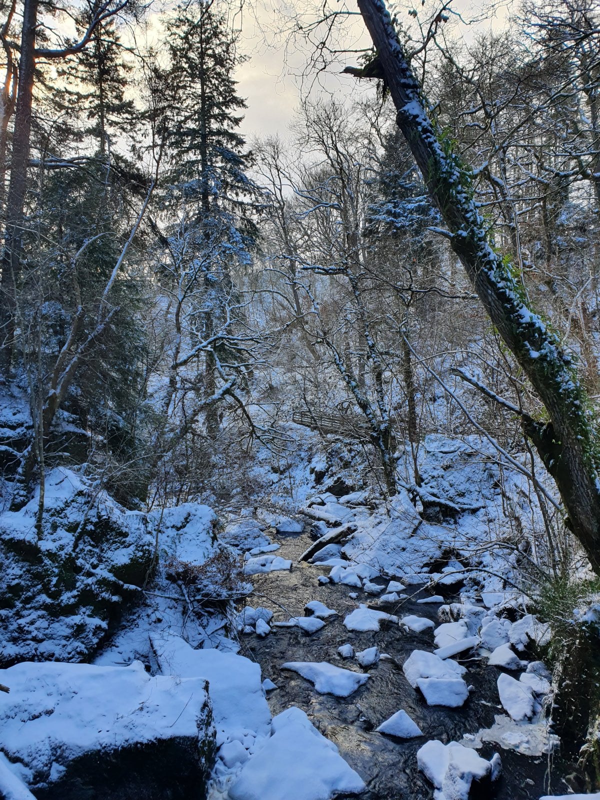 20210208_140157.jpg