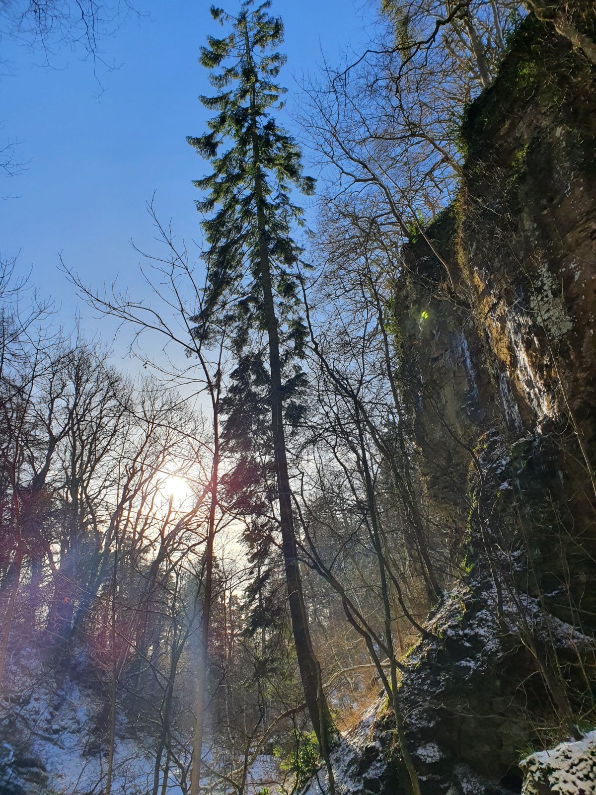 20210208_140811.jpg