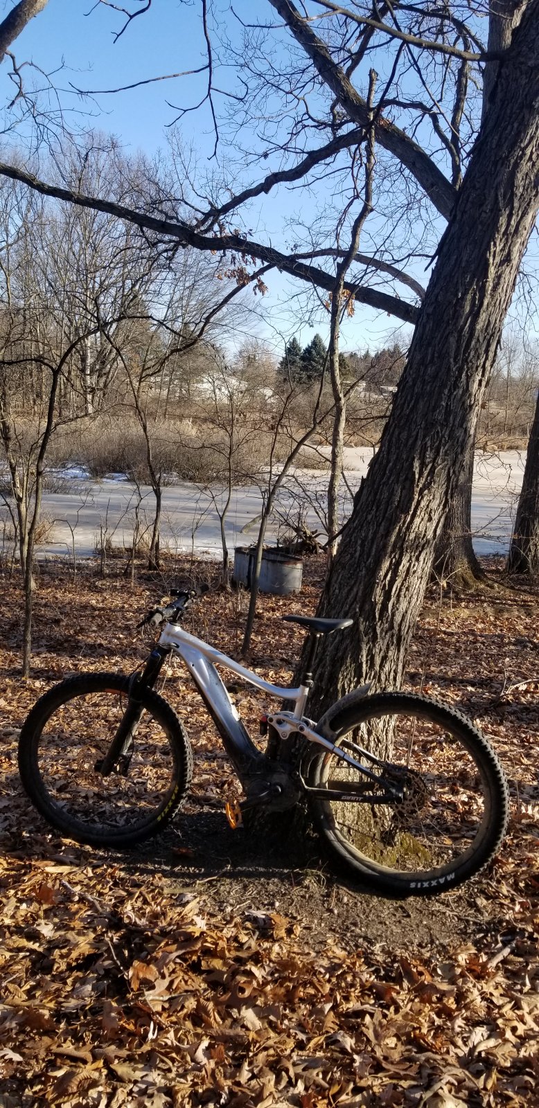 20210305_085332.jpg