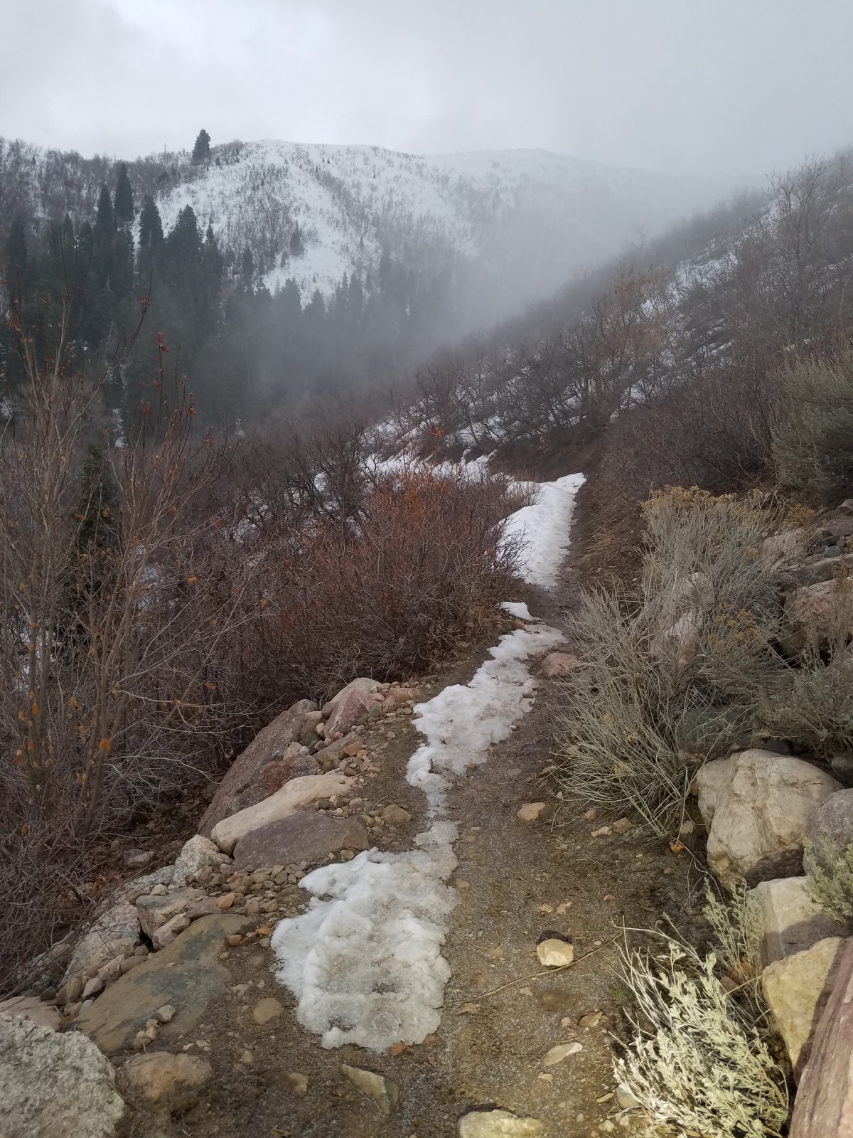 20210313_070359.jpg