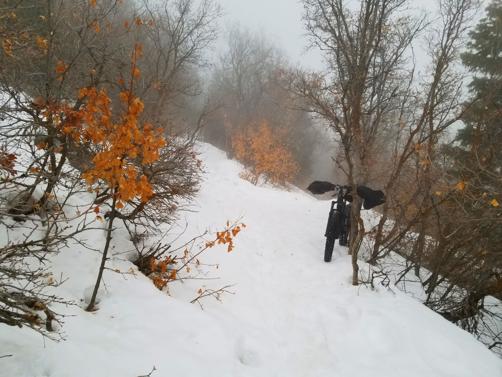 20210313_075822.jpg