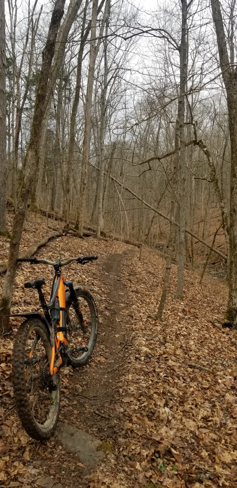 20210315_104520.jpg