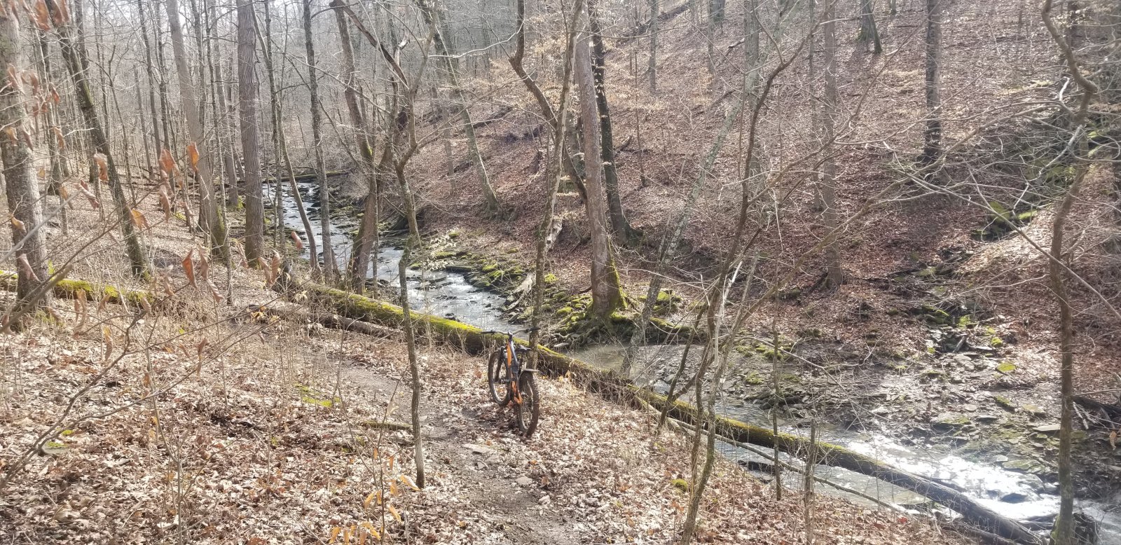 20210316_110648.jpg