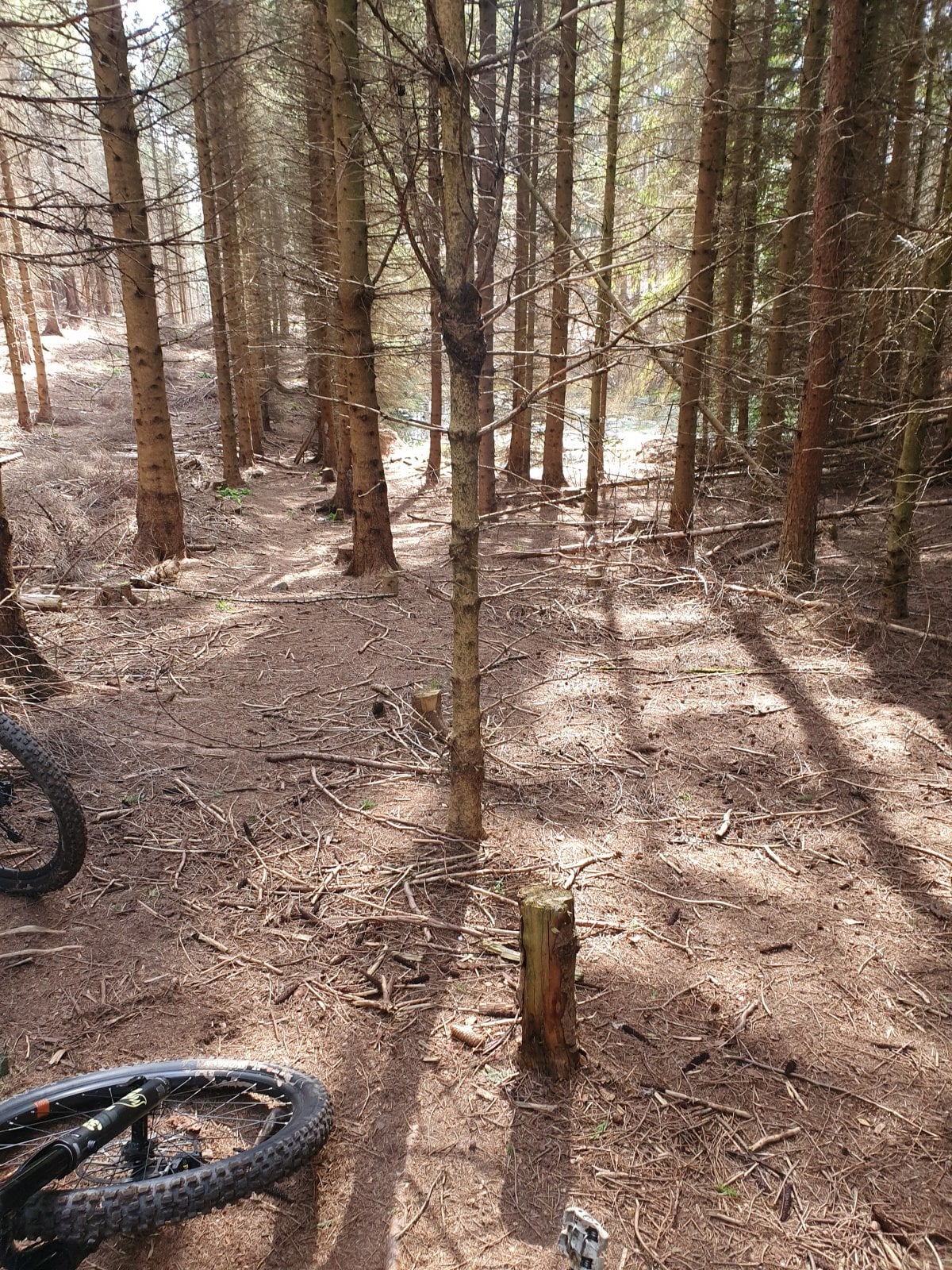 20210404_121921.jpg