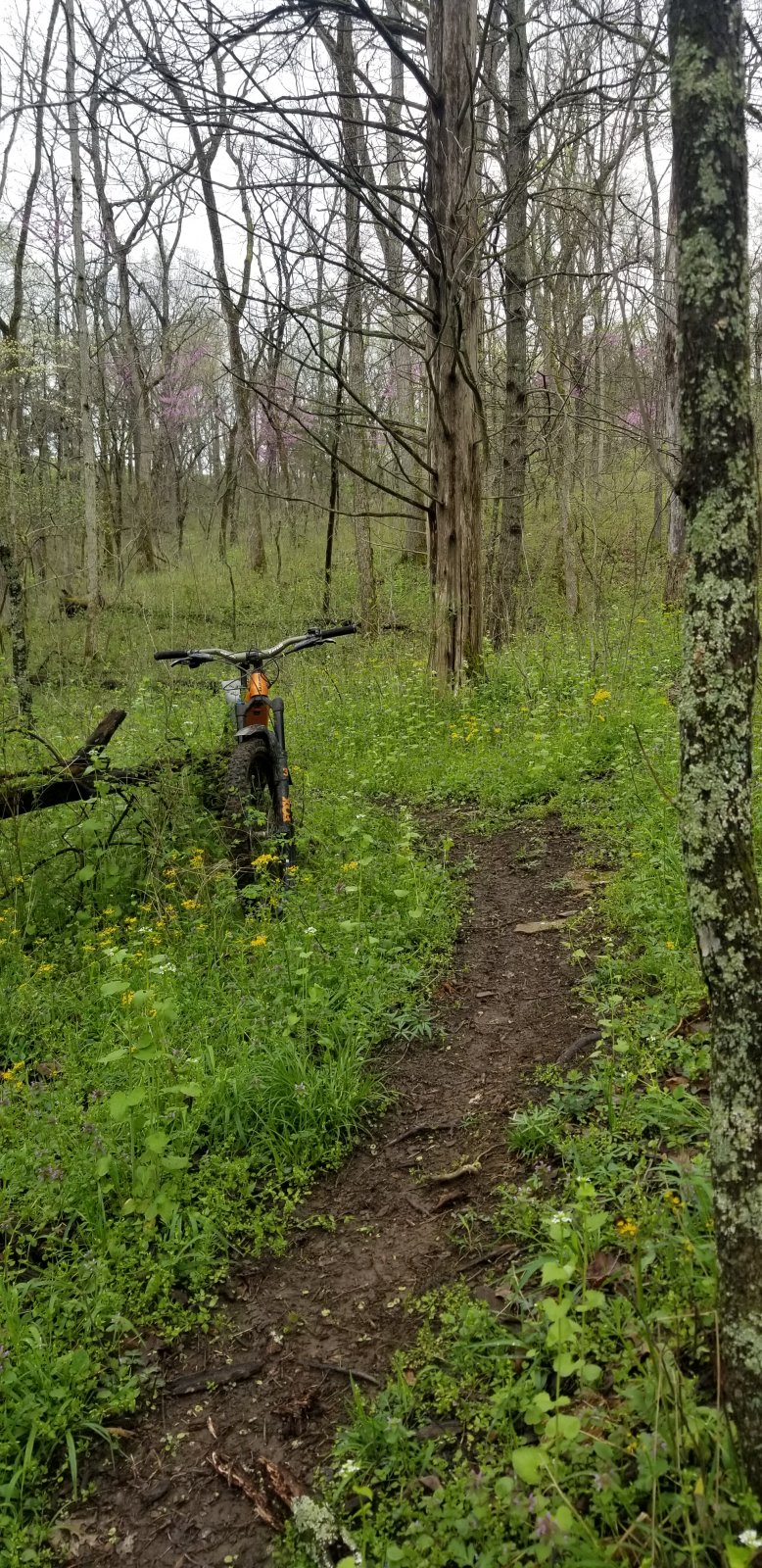 20210412_101453.jpg