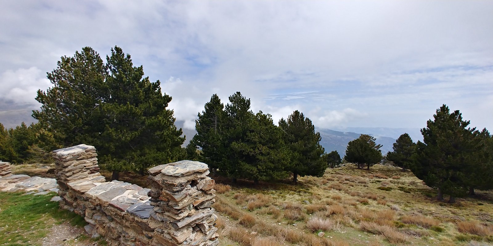 20210413_154025_HDR.jpg
