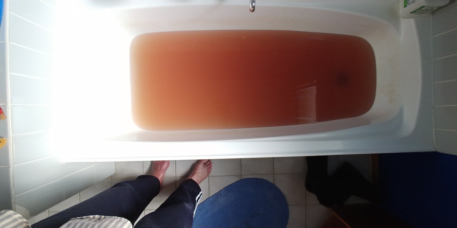20210425_103311.jpg