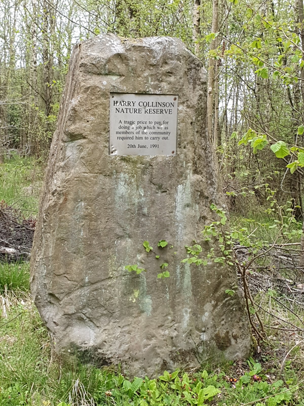 20210513_180528.jpg