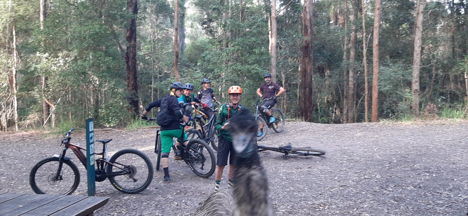 20210529_090306.jpg