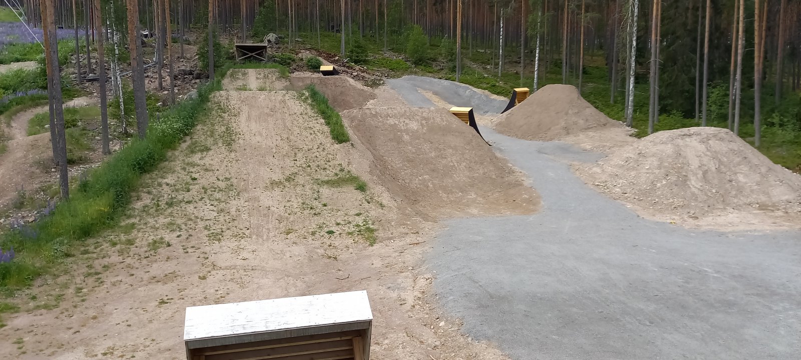 20210619_123302.jpg
