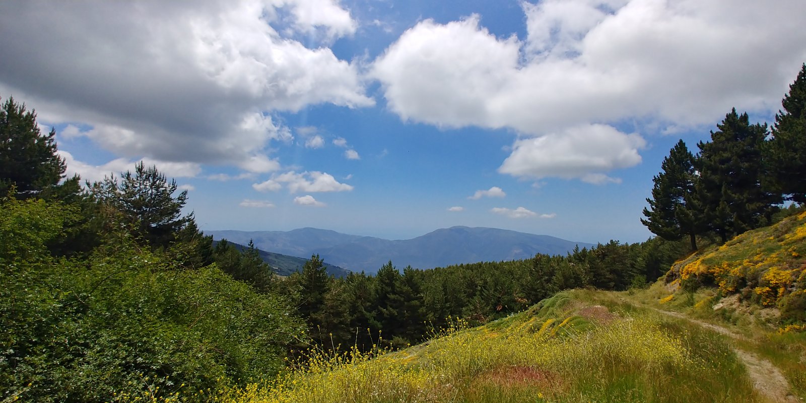 20210623_132130_HDR.jpg