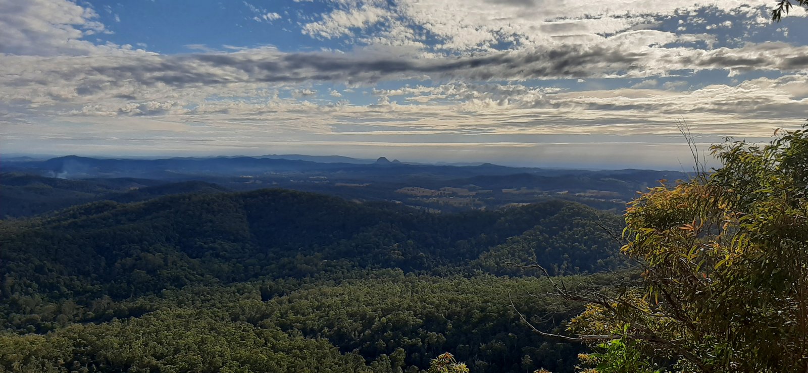 20210627_084353.jpg