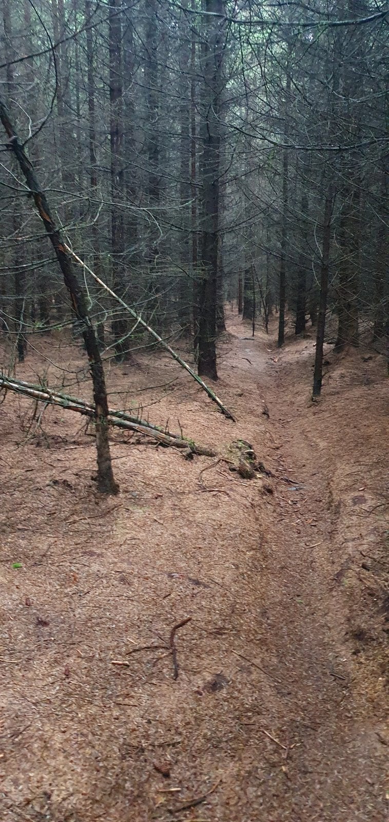 20210806_140014.jpg
