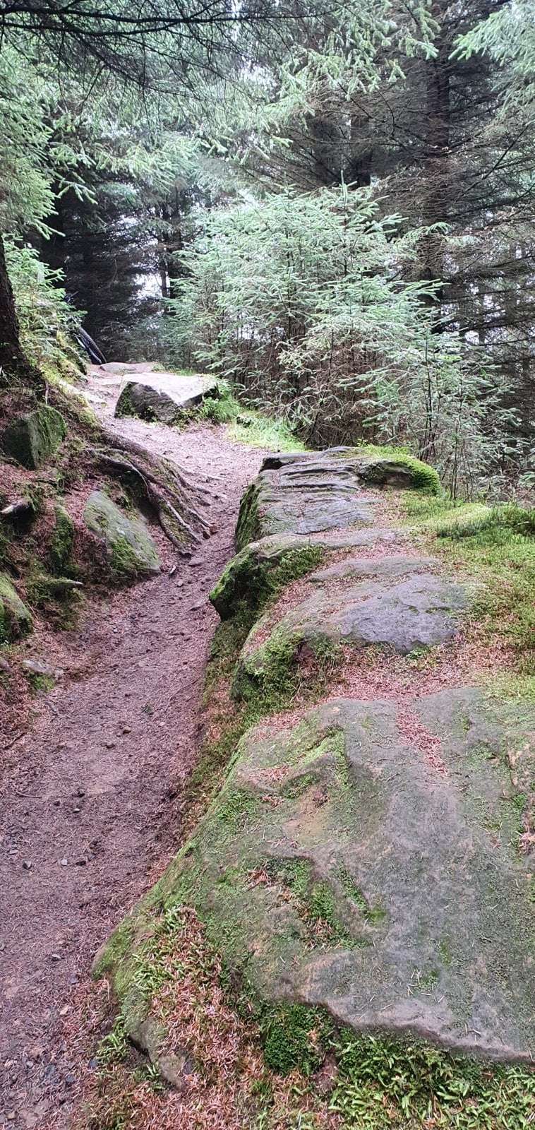 20210820_133137.jpg