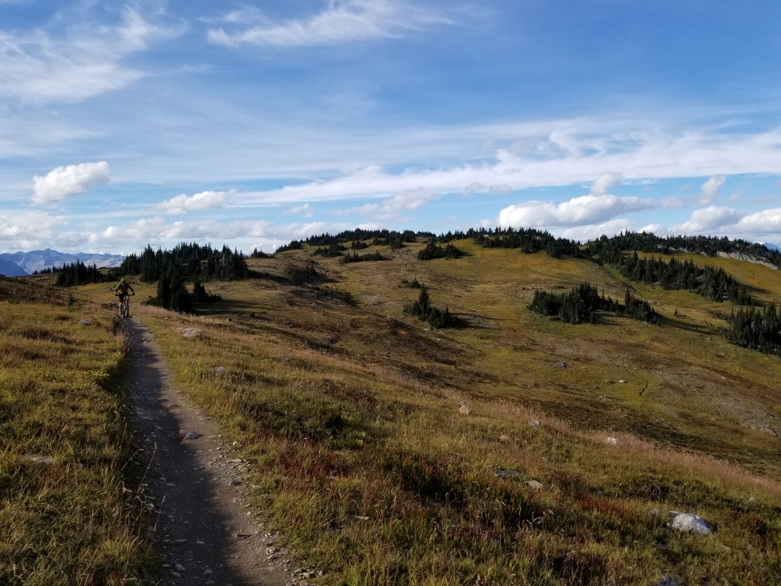 20210906_165912.jpg