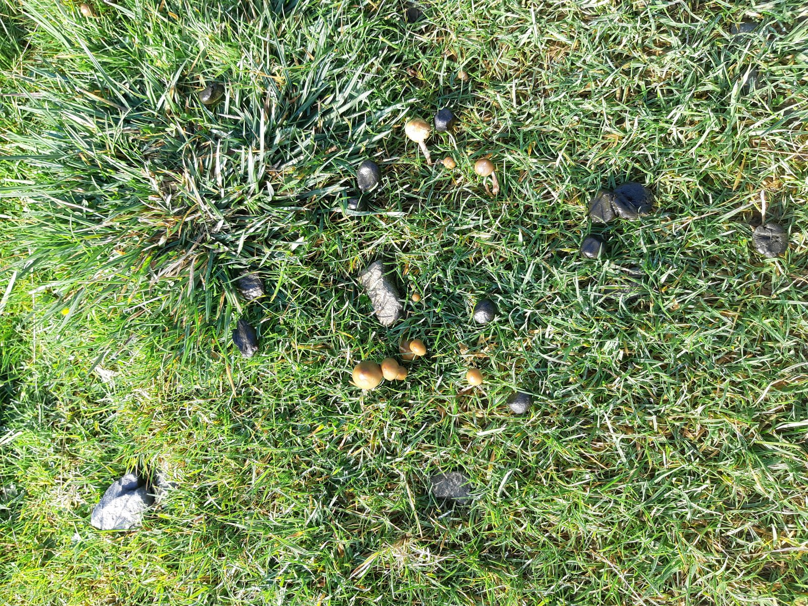 20211015_111005.jpg