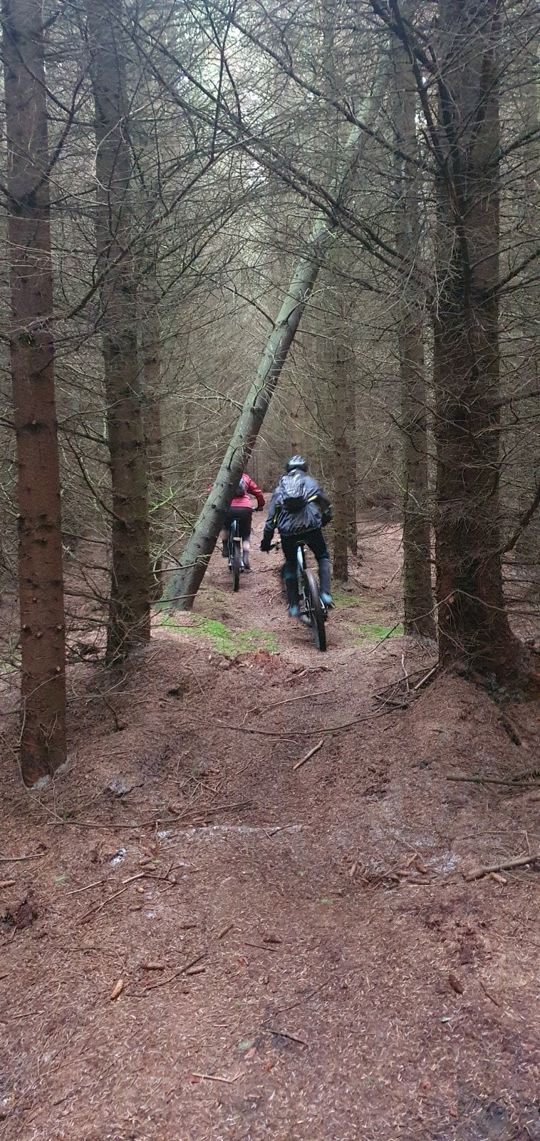 20211023_121446.jpg