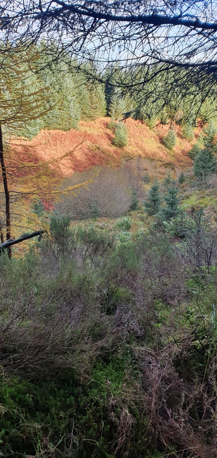 20211107_110747.jpg