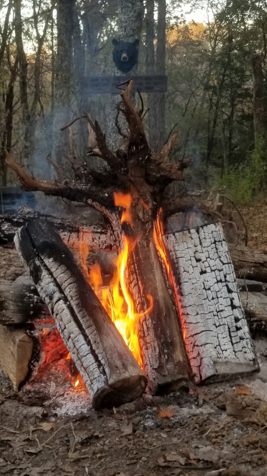 20211108_111839.jpg
