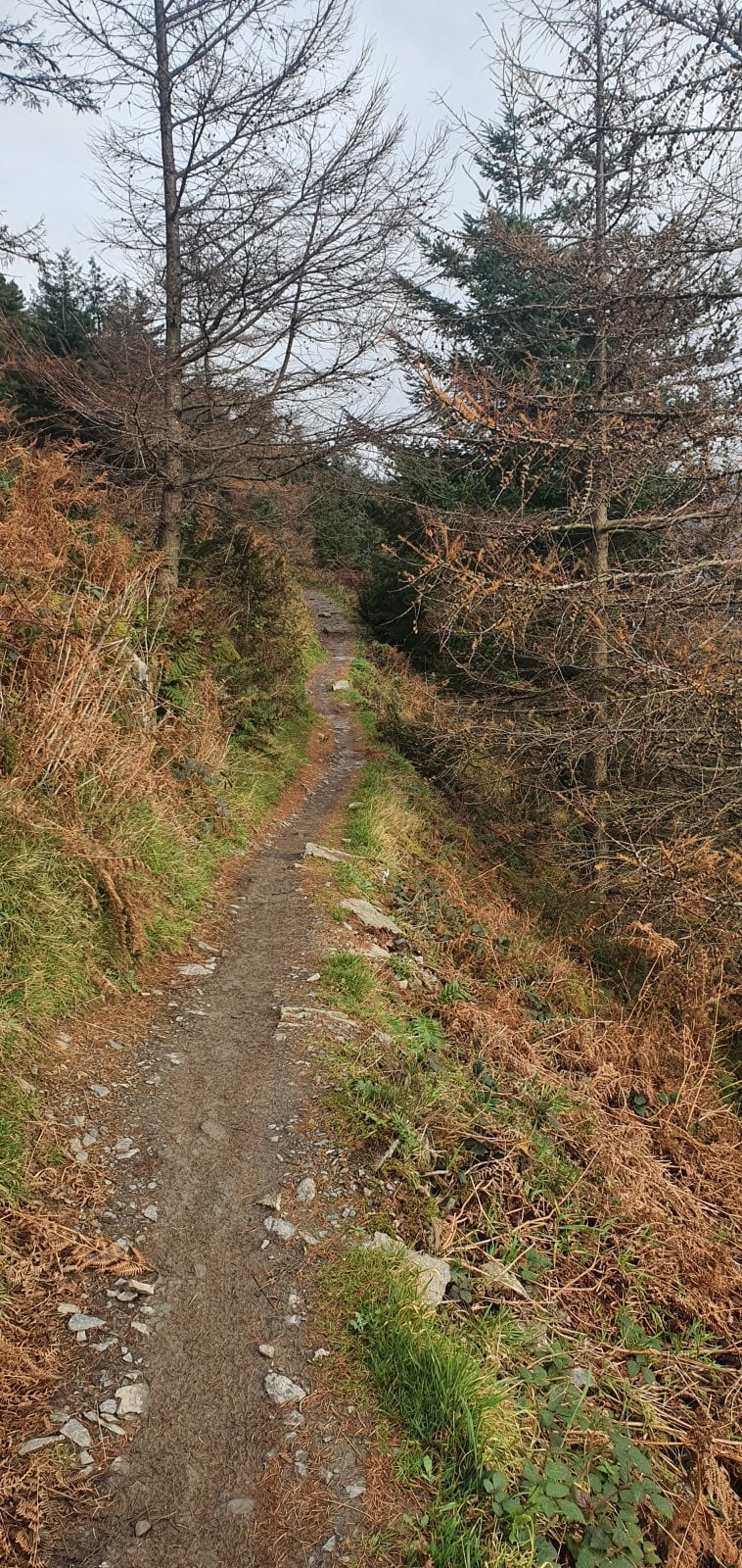 20211119_115317.jpg