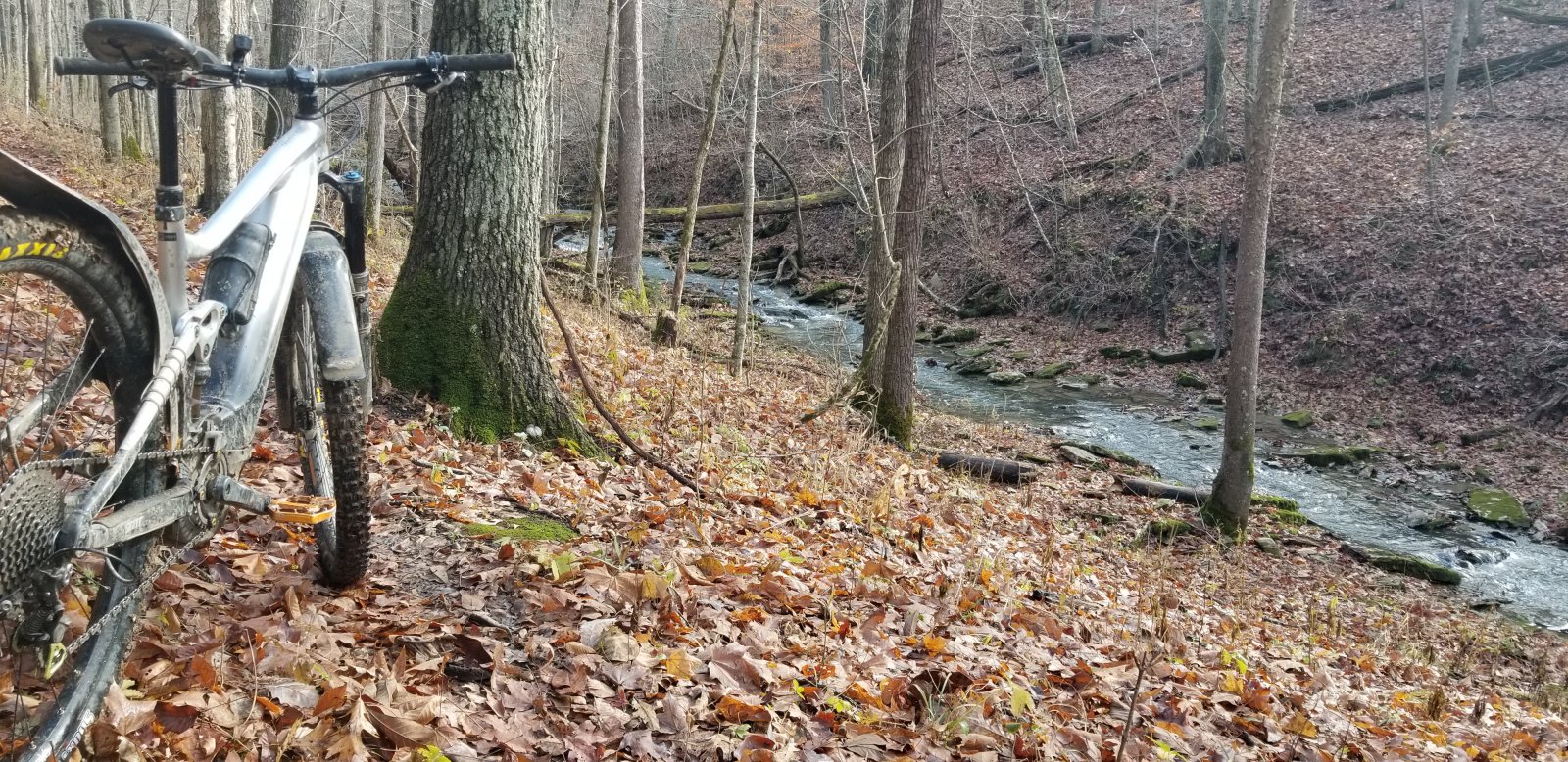 20211122_105553.jpg