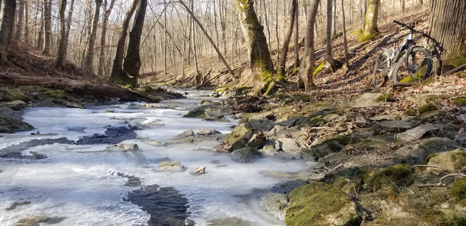 20220122_113942.jpg