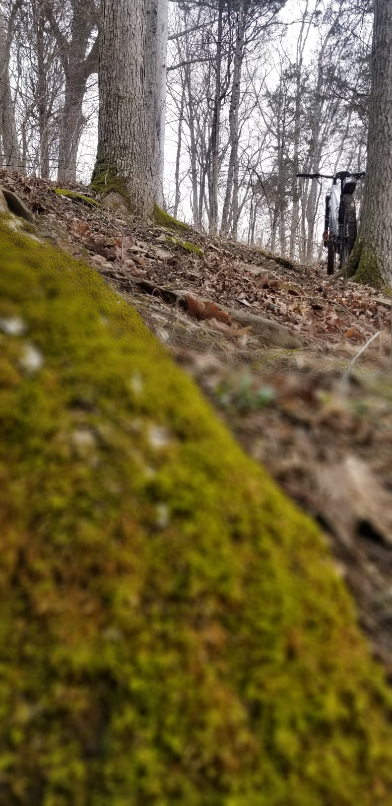 20220224_095244.jpg