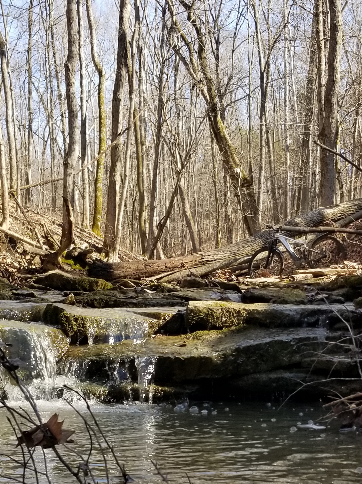 20220228_174516.jpg